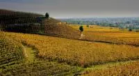 Territoire et terroir