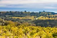 Châteauneuf du Pape